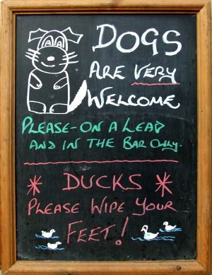 Dogs are welcome